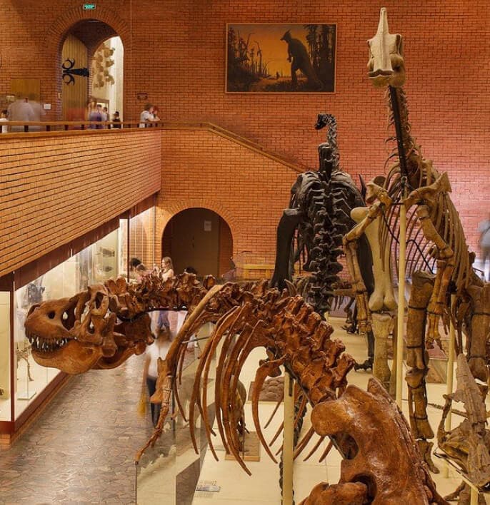 Палеонтологический музей