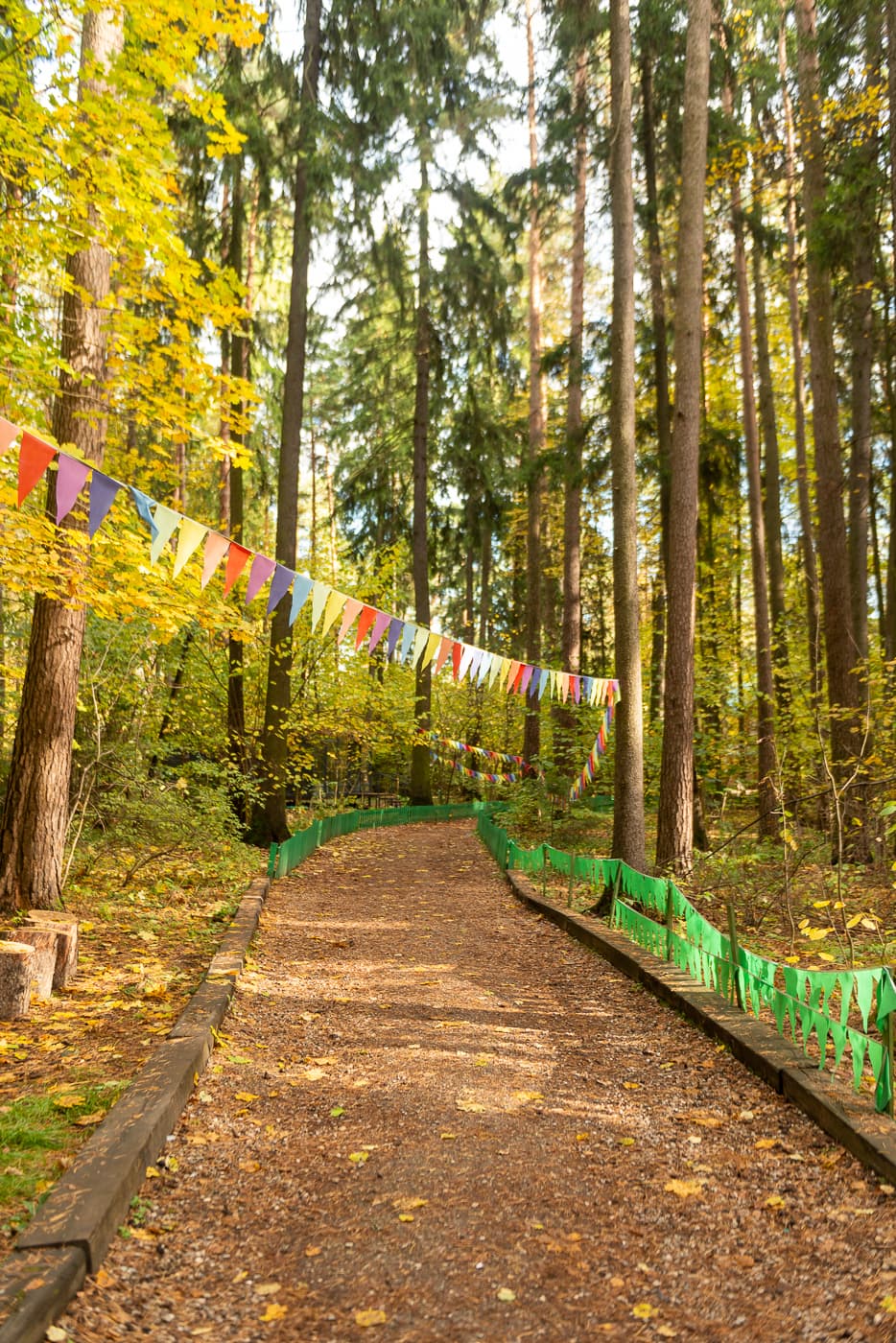 Посёлок писателей