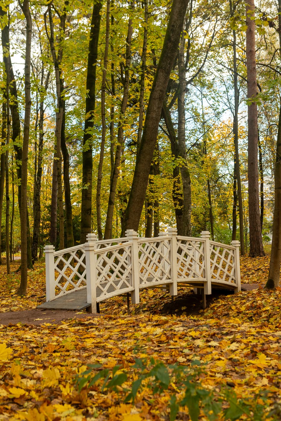 Посёлок писателей