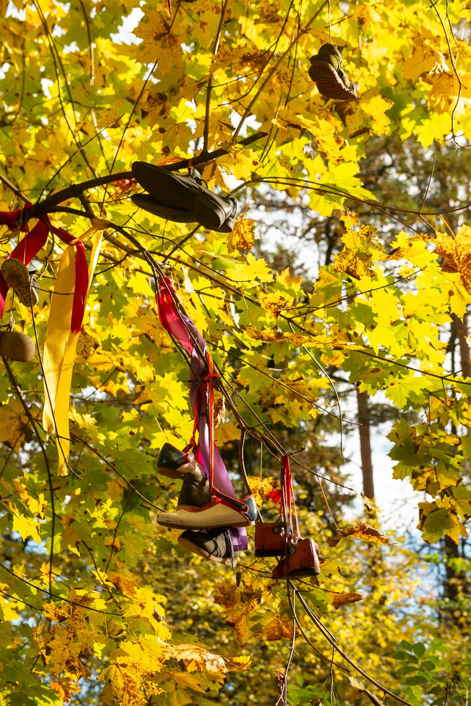 Посёлок писателей